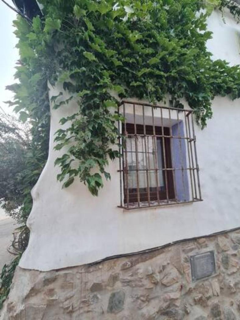 Casa La Yedra By Casaturistica Villa Benarraba Exterior photo